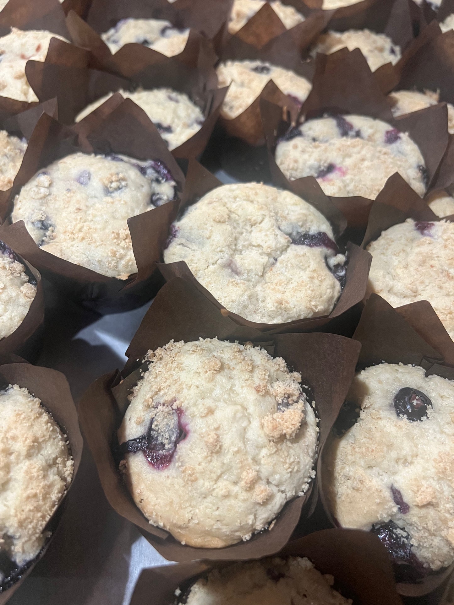 Sugar free Blueberry Muffins