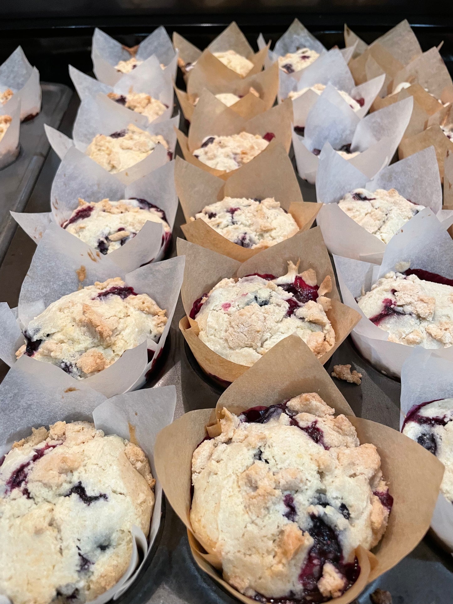 Blueberry Muffins